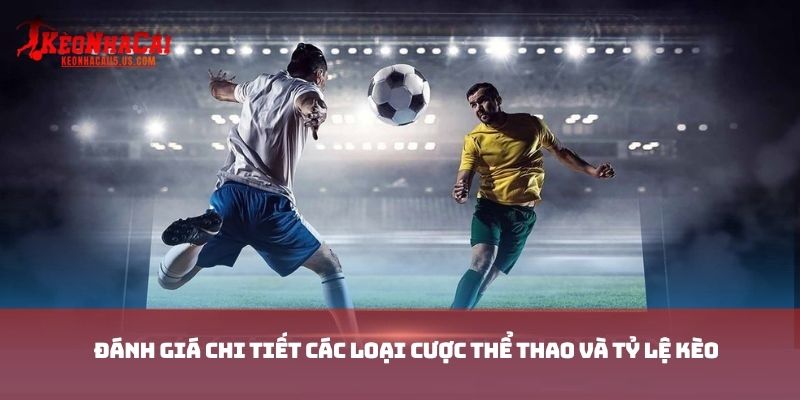 Đánh giá chi tiết các loại cược thể thao và tỷ lệ kèo