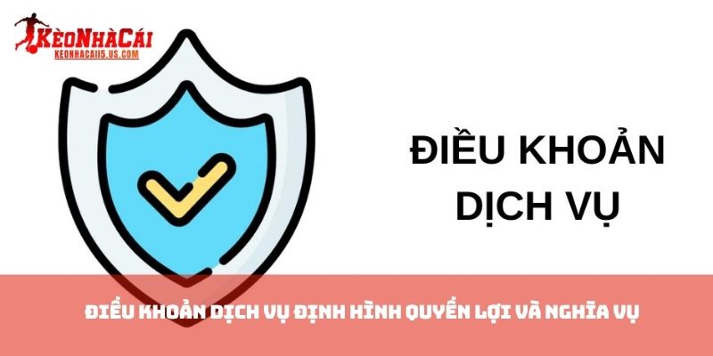 Điều khoản dịch vụ  định hình quyền lợi và nghĩa vụ