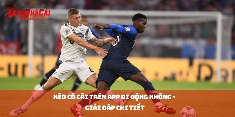 Kèo Có Cài Trên App Di Động Không - Giải Đáp Chi Tiết