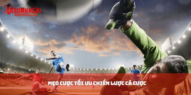 Mẹo cược tối ưu chiến lược cá cược